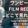 ワンピースフィルムレッドの配信状況をノートパソコンで調べている女性の写真